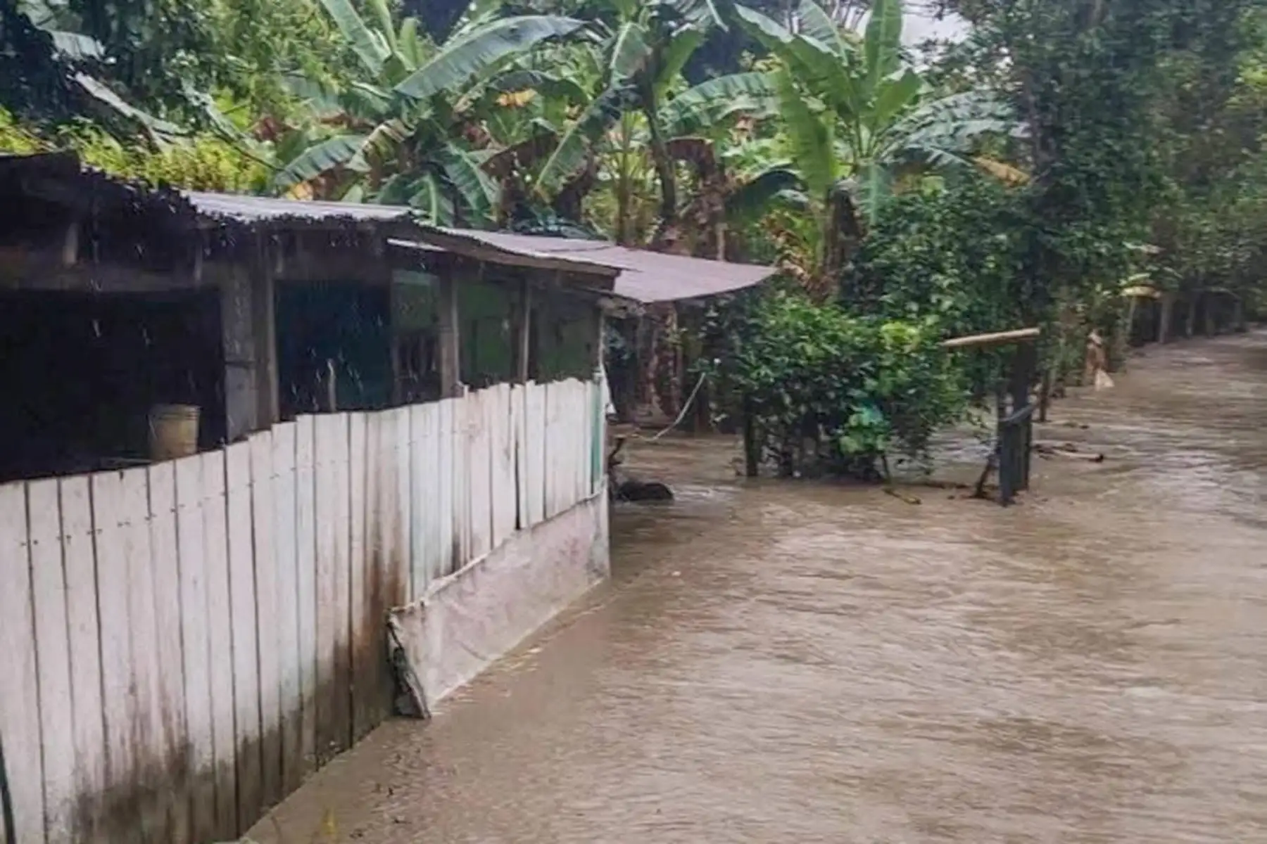 Las lluvias intensas en Cusco provocaron el desborde de ríos en el distrito de Quellouno (La Convención), generando inundaciones en viviendas y terrenos de cultivo, además de huaicos y deslizamientos que interrumpieron vías. Foto: Difusión