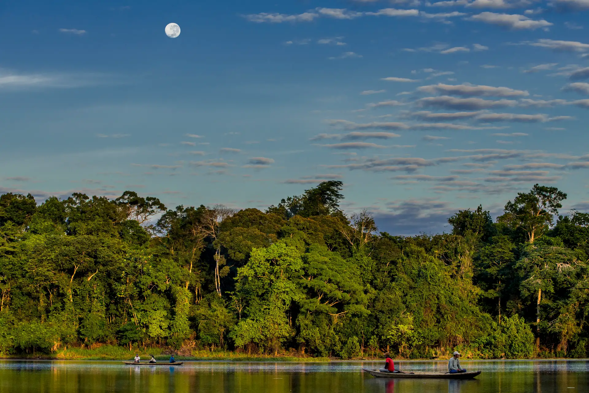 Pacaya Samiria: la deslumbrante área natural protegida que debes vistar