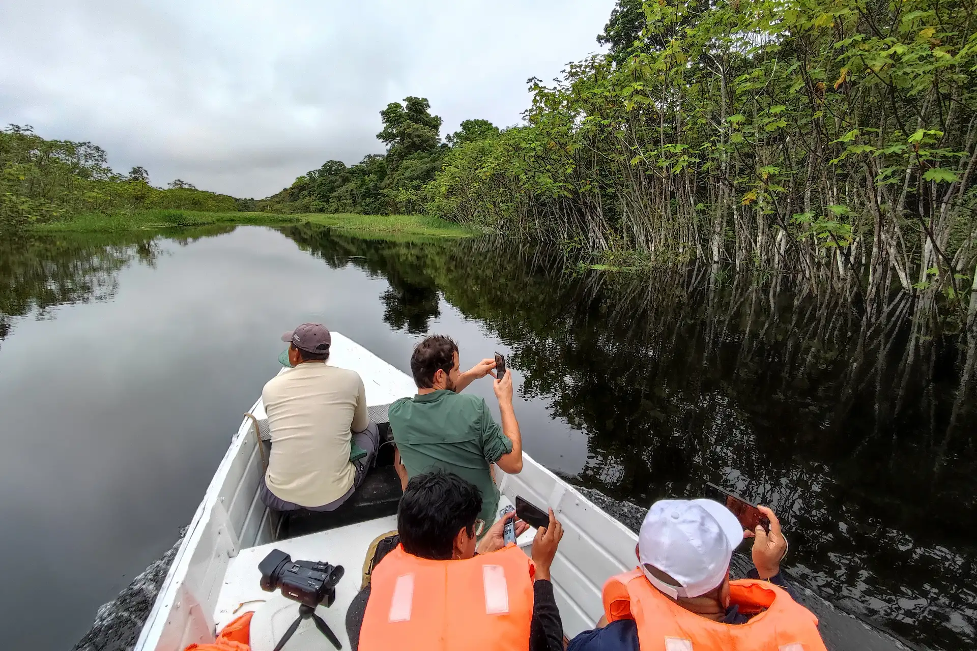 Los circuitos fluviales de varios días en los límites de la reserva, son ofrecidos por empresas que operan en Iquitos y Lima. Foto: ANDINA/Difusión