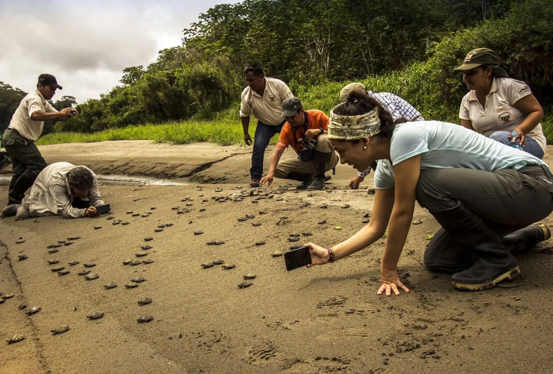 Cada visita a la Reserva Nacional Pacaya Samiria es una oportunidad para cuidar lo que nos pertenece a todos. Siguiendo las Normas del Turista Responsable, contribuimos a proteger la biodiversidad, respetar la fauna silvestre y preservar nuestros paisajes naturales. Foto: ANDINA/Difusión