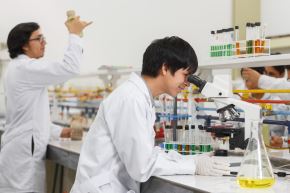 PROCIENCIA otorgó 304 becas doctorales para fortalecer la investigación y la innovación