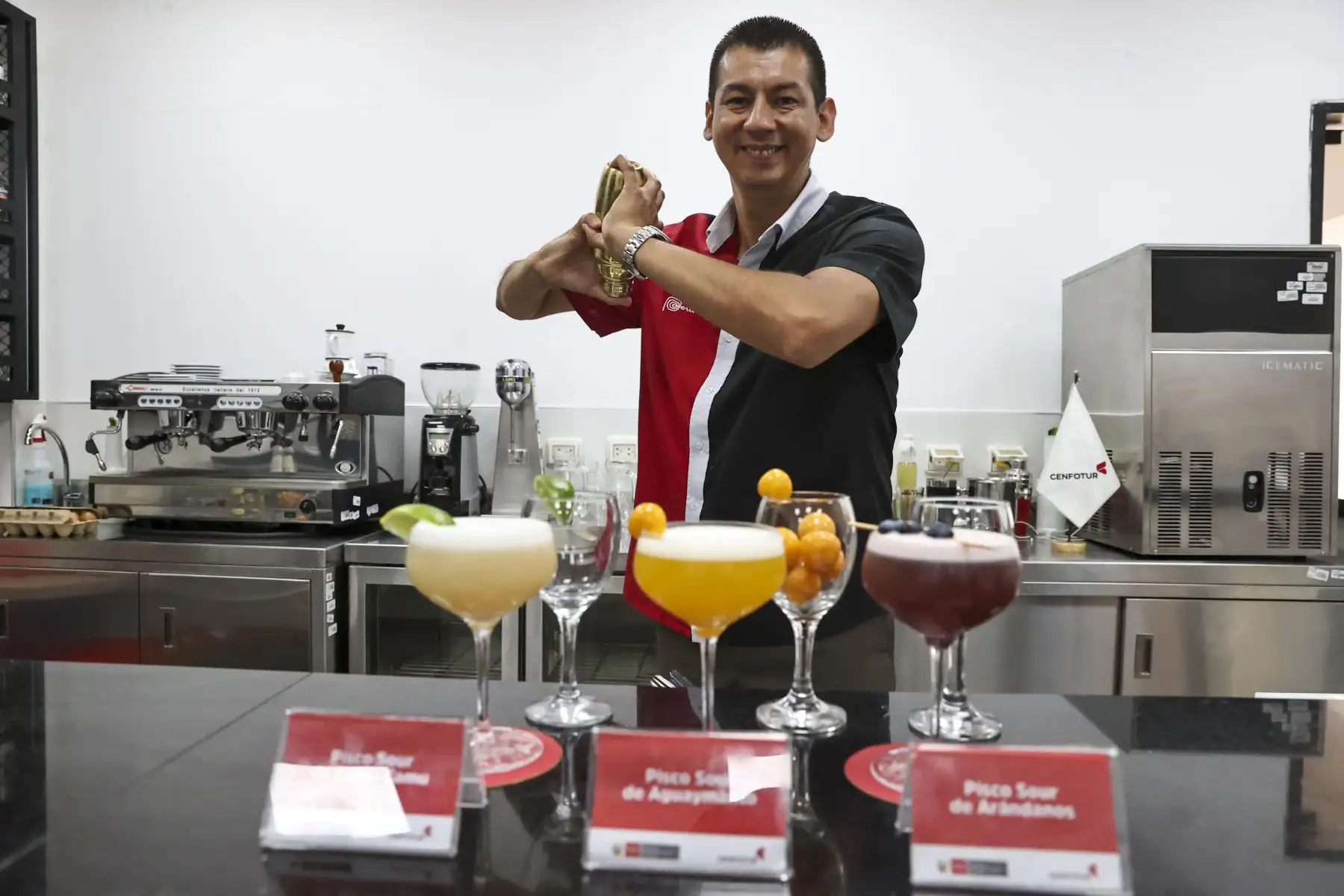Cada primer sábado de febrero, el Perú conmemora el Día del Pisco Sour, una fecha emblemática que rinde homenaje a uno de los cócteles más representativos de nuestra identidad cultural y gastronómica. Elaborado a base de pisco, producto bandera del país, el Pisco Sour se ha consolidado como símbolo de orgullo nacional y embajador de la gastronomía peruana en el mundo.

Foto: ANDINA/Juan Carlos Guzmán Negrini
