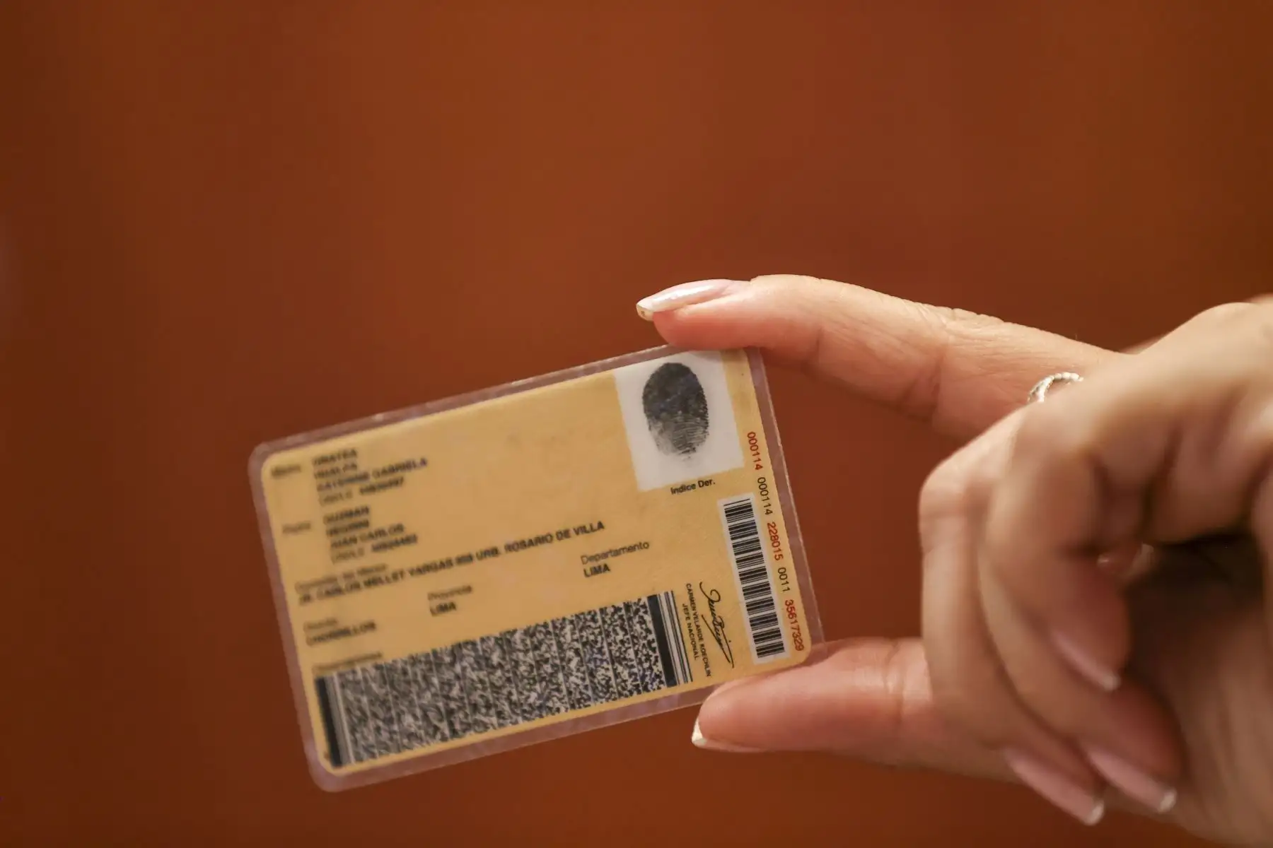 ERM 2026: ciudadanos con DNI amarillo están aptos para votar en comicios