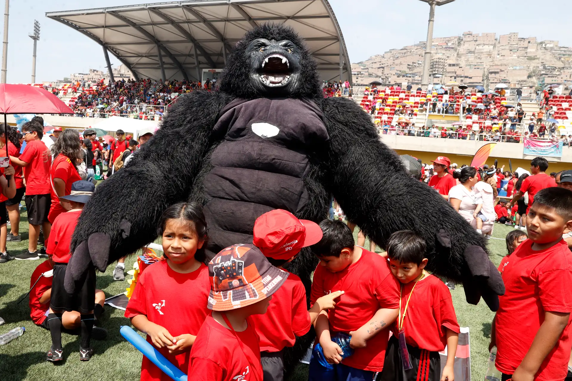 Presidente José Jerí participa  en la inauguración de la Academia IPD Para Deportes 2026 que tiene como objetivo impulsar la inclusión, el desarrollo deportivo y la formación integral de personas con discapacidad, promoviendo el talento para deportivo.
Foto: ANDINA/Vidal Tarqui