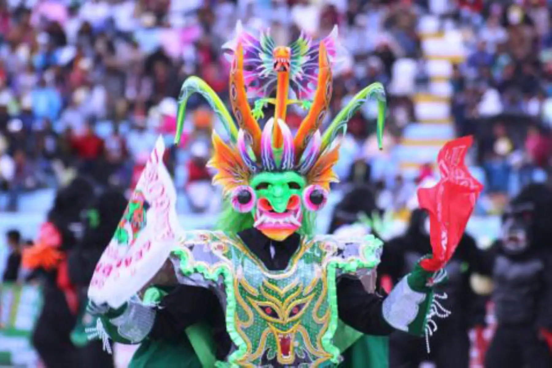 La octava de  la festividad de la Virgen de la Candelaria 2026 en Puno está en pleno apogeo. Hoy, 8 de febrero, se lleva a cabo el concurso de danzas en traje de luces en el estadio de la Universidad Nacional del Altiplano.
Foto: Mincetur