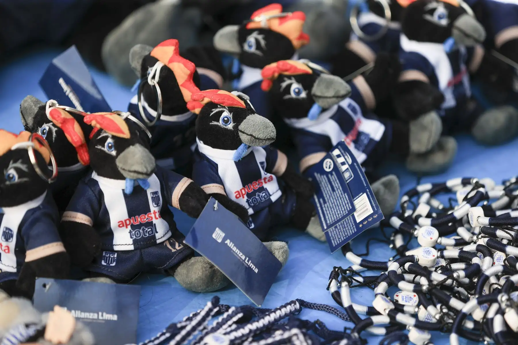 Hinchas blanquiazules esperan el inicio del partido entre Alianza Lima y Comerciantes Unidos por la fecha 2 del Torneo Apertura de la Liga 1. El partido será en el estadio Alejandro Villanueva de La Victoria. Foto: ANDINA/Jhonel Rodríguez Robles
