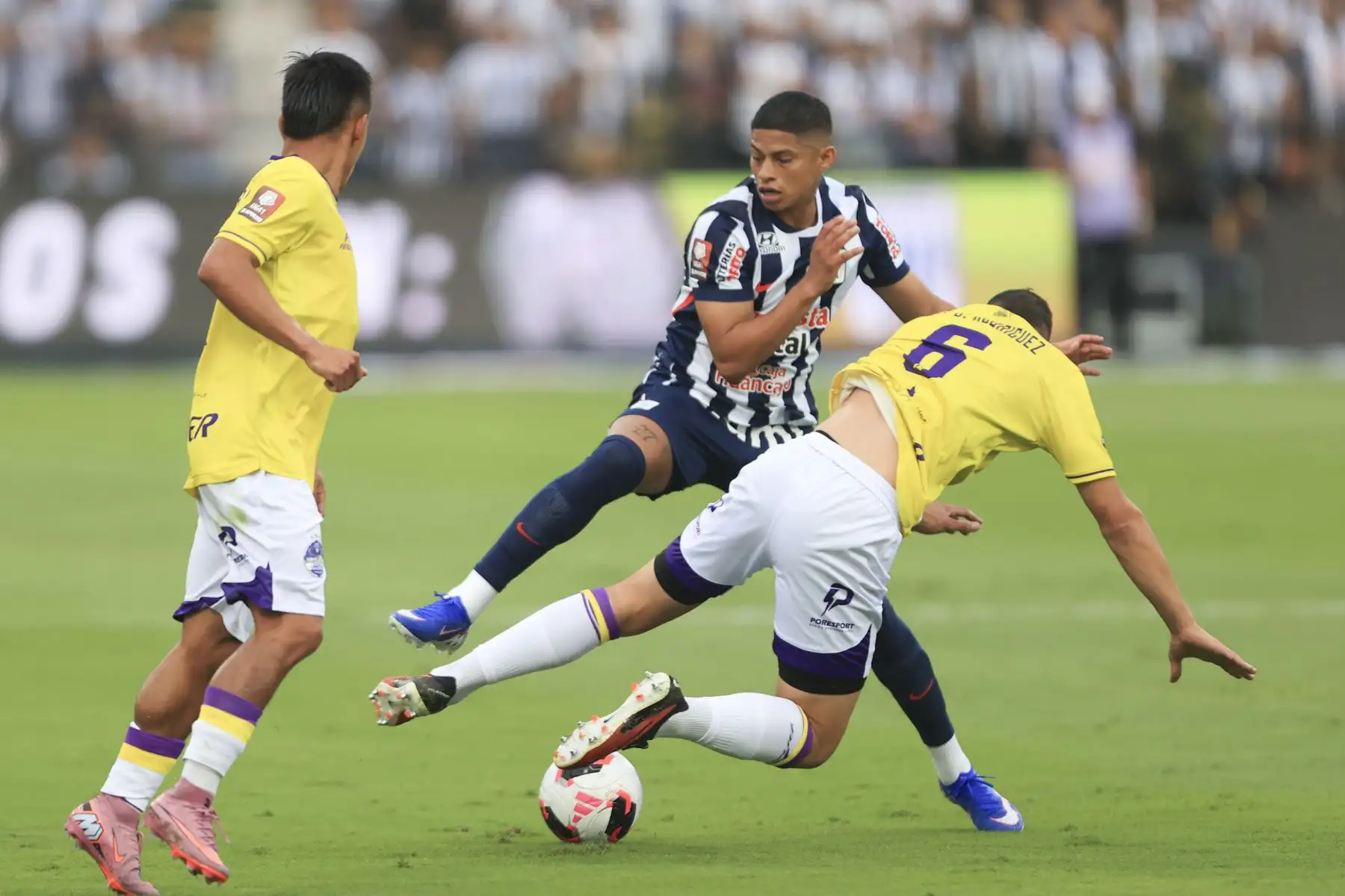 Alianza Lima enfrenta a Comerciantes Unidos por la segunda fecha del Torneo Apertura de la Liga 1. Foto: ANDINA/Jhonel Rodríguez Robles