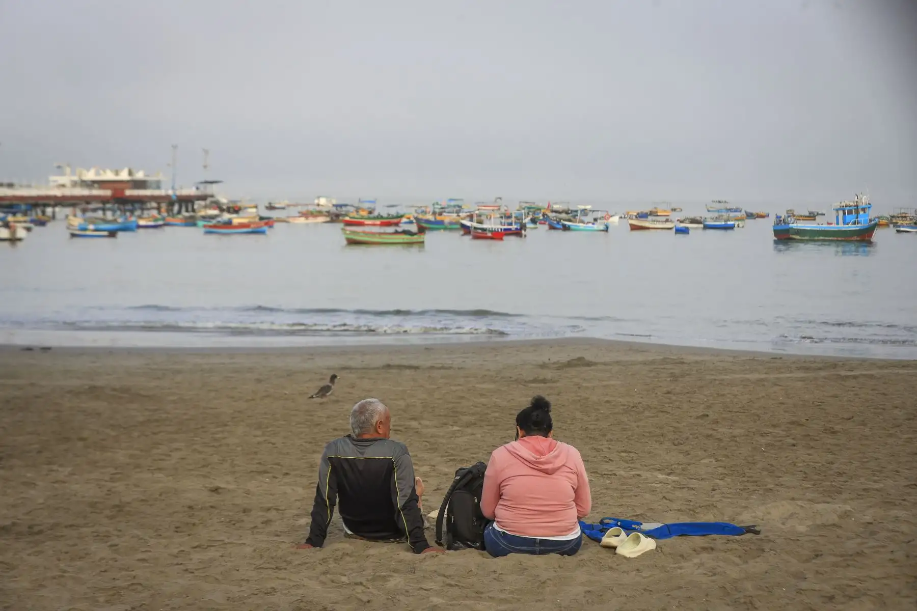 Se recuerda evitar el ingreso de alimentos prohibidos para preservar la limpieza y el orden en el balneario. Foto: ANDINA/ Ricardo Cuba
