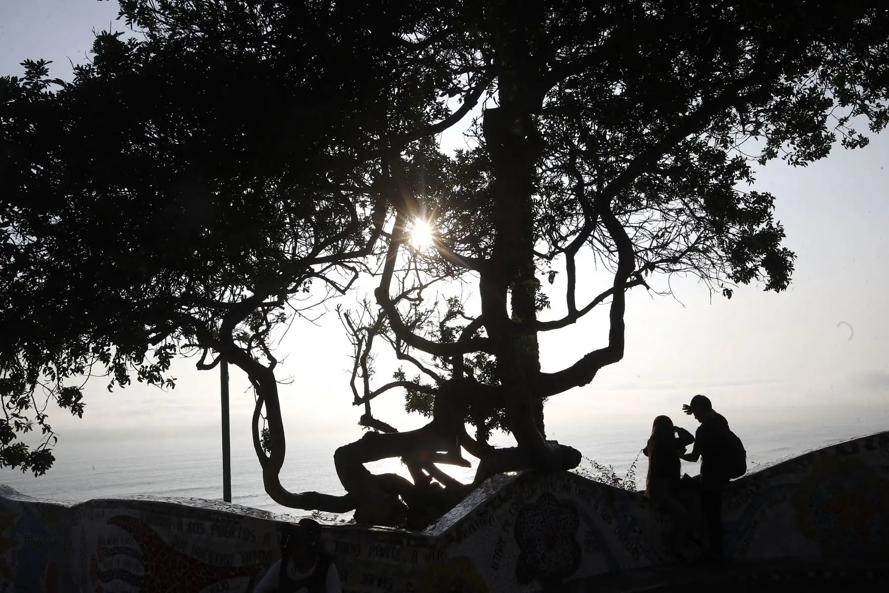 A pocos días del Dia de San Valentín, parejas y enamorados salen a pasear cerca al " Parque del Amor " donde se encuentra la emblemática escultura llamada " El Beso", obra del artista plástico, Víctor Delf{in.
Foto: ANDINA/ Eddy Ramos