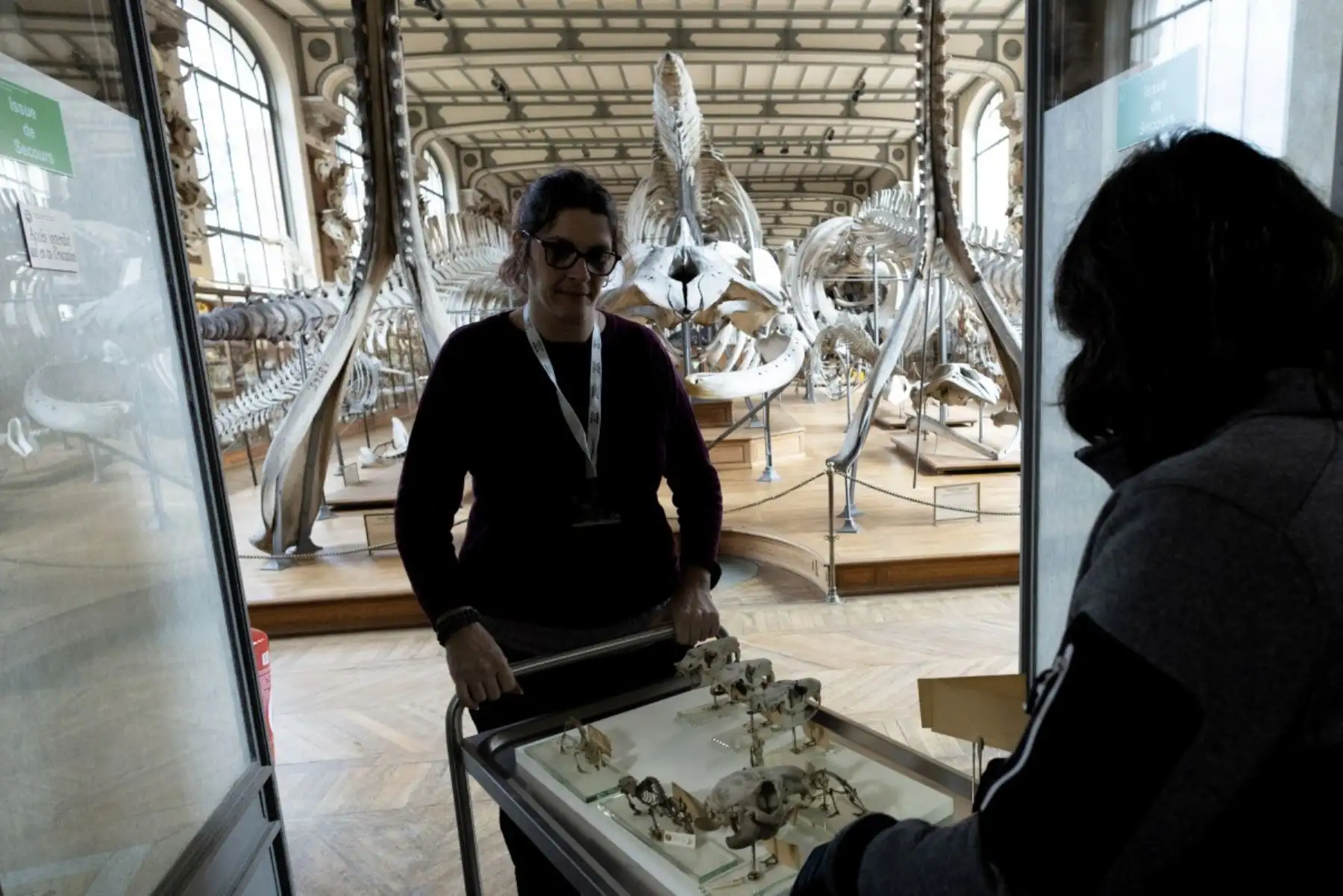 El nuevo GPAC será prácticamente idéntico al antiguo, en particular con sus famosos pasillos estrechos, salvo por un nuevo acceso para personas con movilidad reducida. AFP