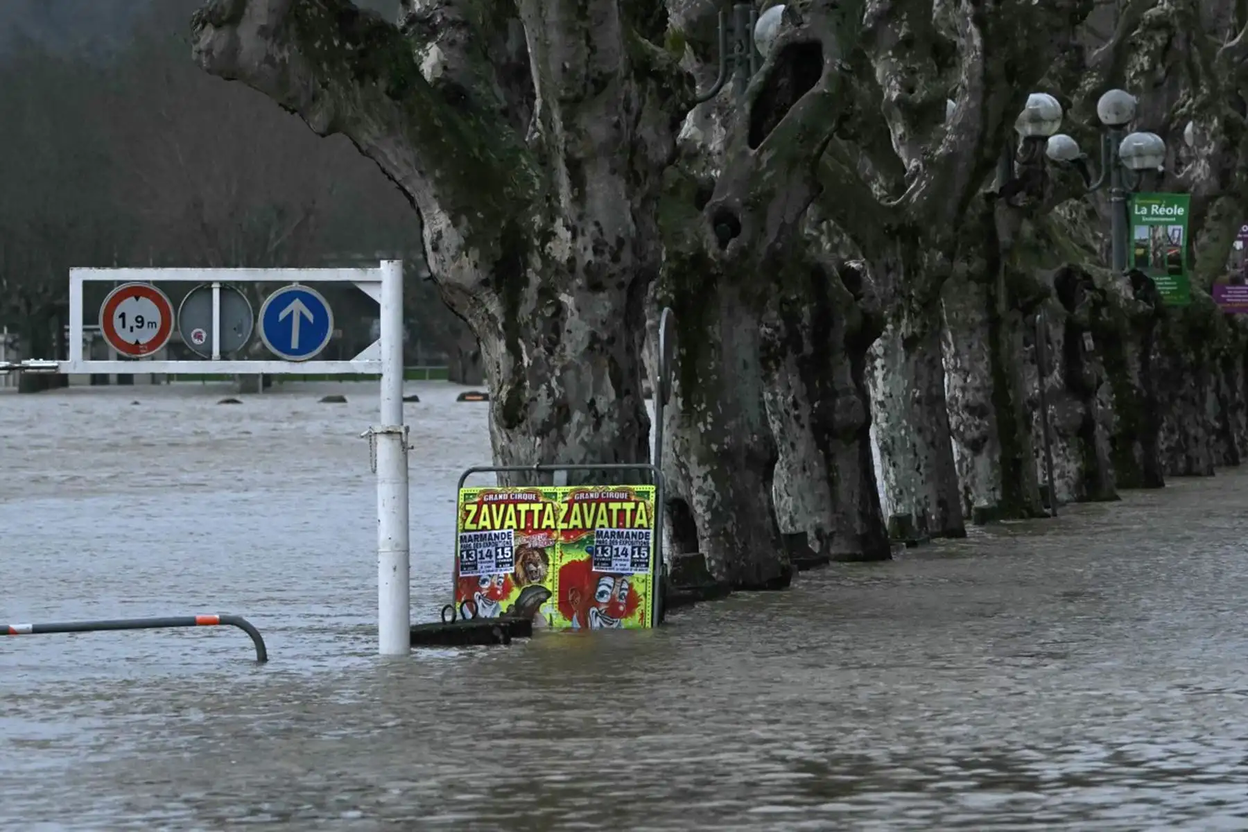 Equipos de emergencia y bomberos realizan labores de despeje tras la caída de árboles y líneas eléctricas por los fuertes vientos del temporal. Foto: AFP