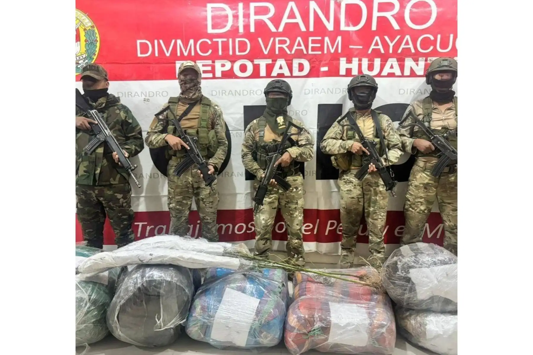 Peru: Army, National Police eradicate over 119,000 marijuana seedlings in VRAEM