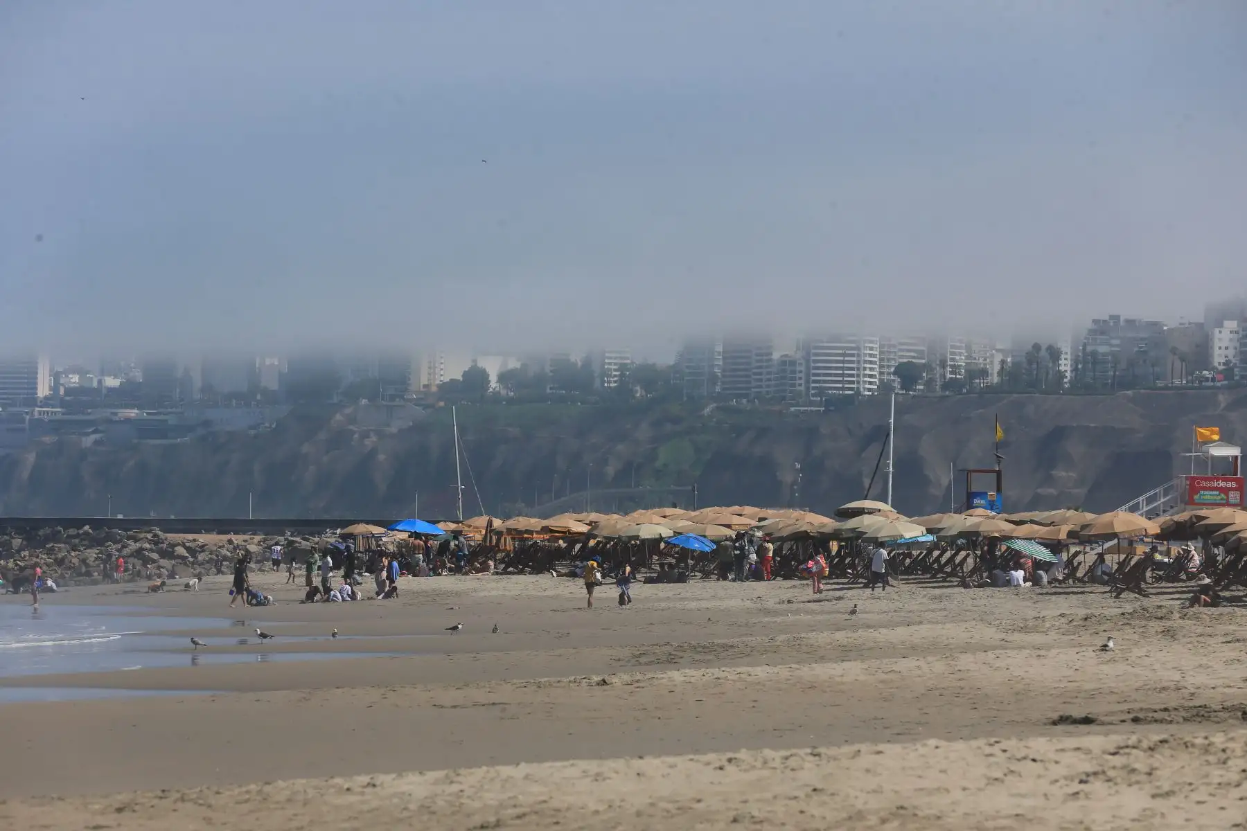 Desde Chorrillos, el MINAM impulsa acciones de prevención y cuidado ambiental para proteger las playas peruanas frente a la alta generación de residuos en verano. Foto: ANDINA/ Héctor Vinces