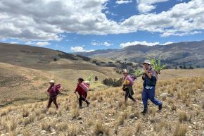 El PIF Plantaciones ha sido seleccionado como uno de los casos de éxito a nivel de programas nacionales por su capacidad de articular a pequeños productores a la cadena de valor de la madera, mejorar sus medios de vida y contribuir al objetivo global de eliminar la deforestación de las cadenas de suministro forestales. Foto: Serfor