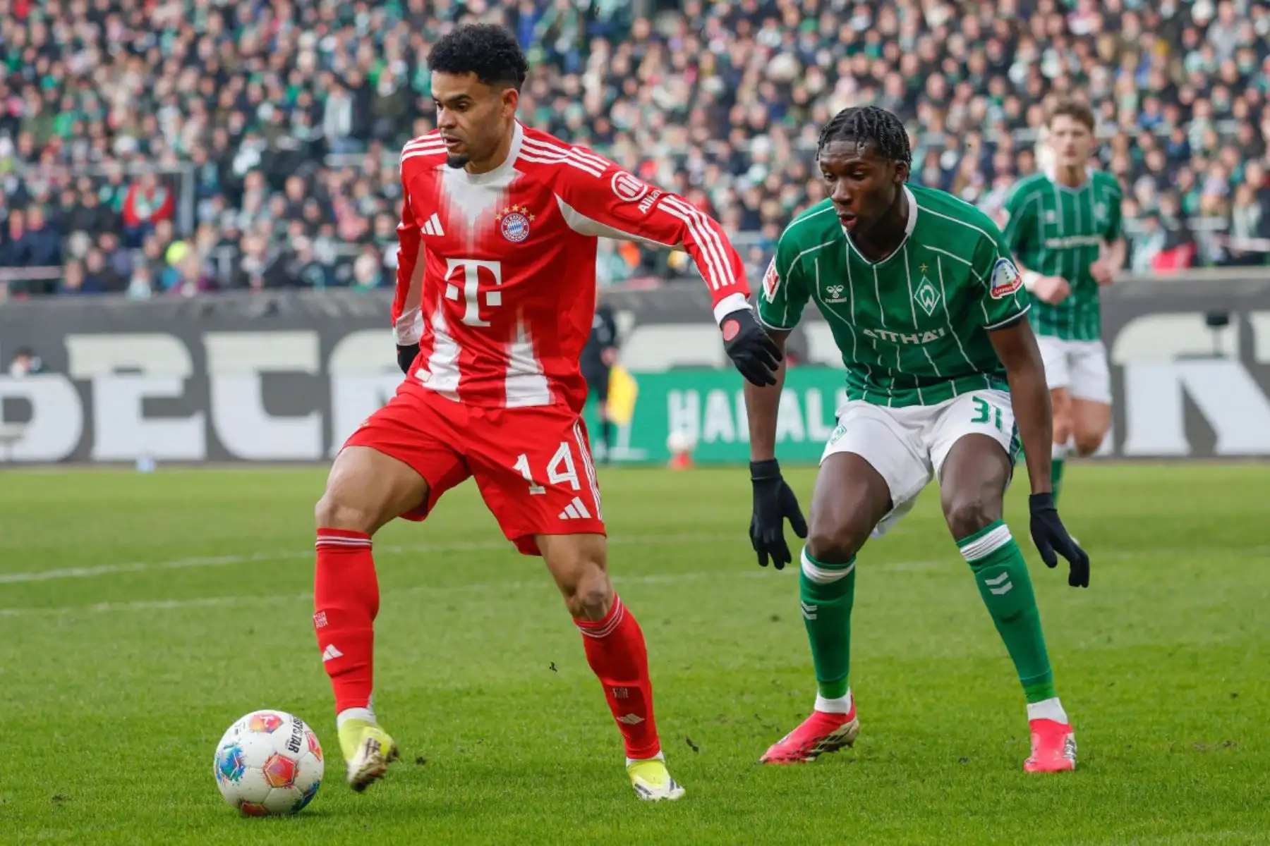 El delantero colombiano 14 del Bayern Munich Luis Díaz y el defensa alemán 31 del Bremen Karim Coulibaly disputan el balón durante el partido de fútbol de la primera división alemana Bundesliga entre SV Werder Bremen y FC Bayern Munich en Bremen. Foto: ANDINA/AFP