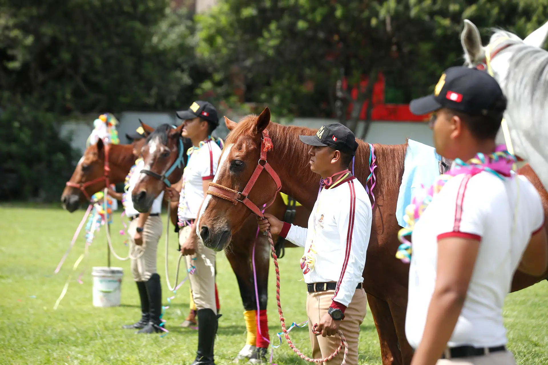 Policía Nacional del Perú, a través de la Unidad Histórica de Policía Montada "El Potao" organiza el festival “Equino Carnavales POTAO PNP ”.  Esta actividad, busca fortalecer las habilidades sociales y control de sentimientos, entre niños, adolescentes y adultos con discapacidad y habilidades diferentes.
Foto: ANDINA/ Eddy Ramos