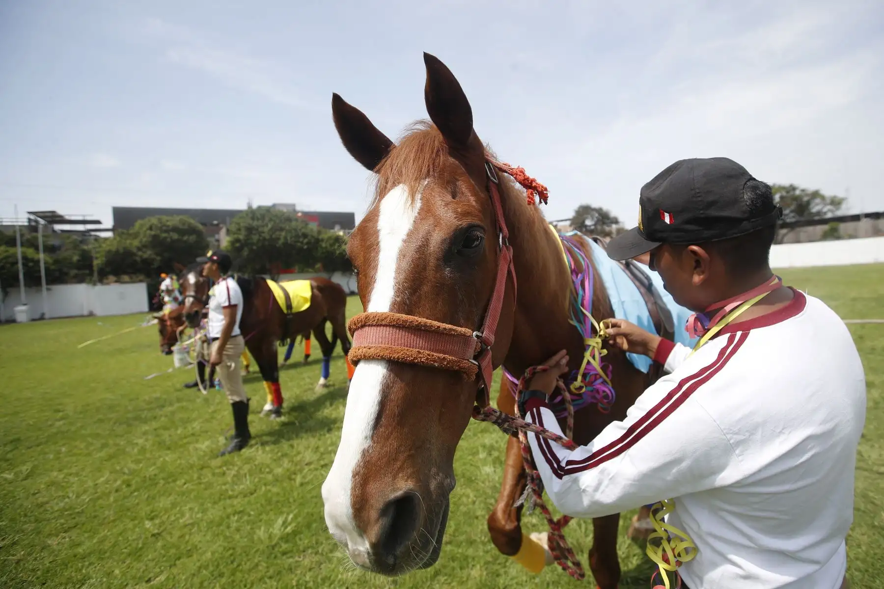 Policía Nacional del Perú, a través de la Unidad Histórica de Policía Montada "El Potao" organiza el festival “Equino Carnavales POTAO PNP ”.  Esta actividad, busca fortalecer las habilidades sociales y control de sentimientos, entre niños, adolescentes y adultos con discapacidad y habilidades diferentes.
Foto: ANDINA/ Eddy Ramos