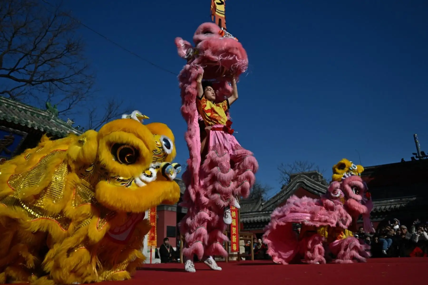 Bailarines de leones actúan en el Templo Dongyue el primer día del Año Nuevo Lunar del Caballo en Beijing. Foto: AFP