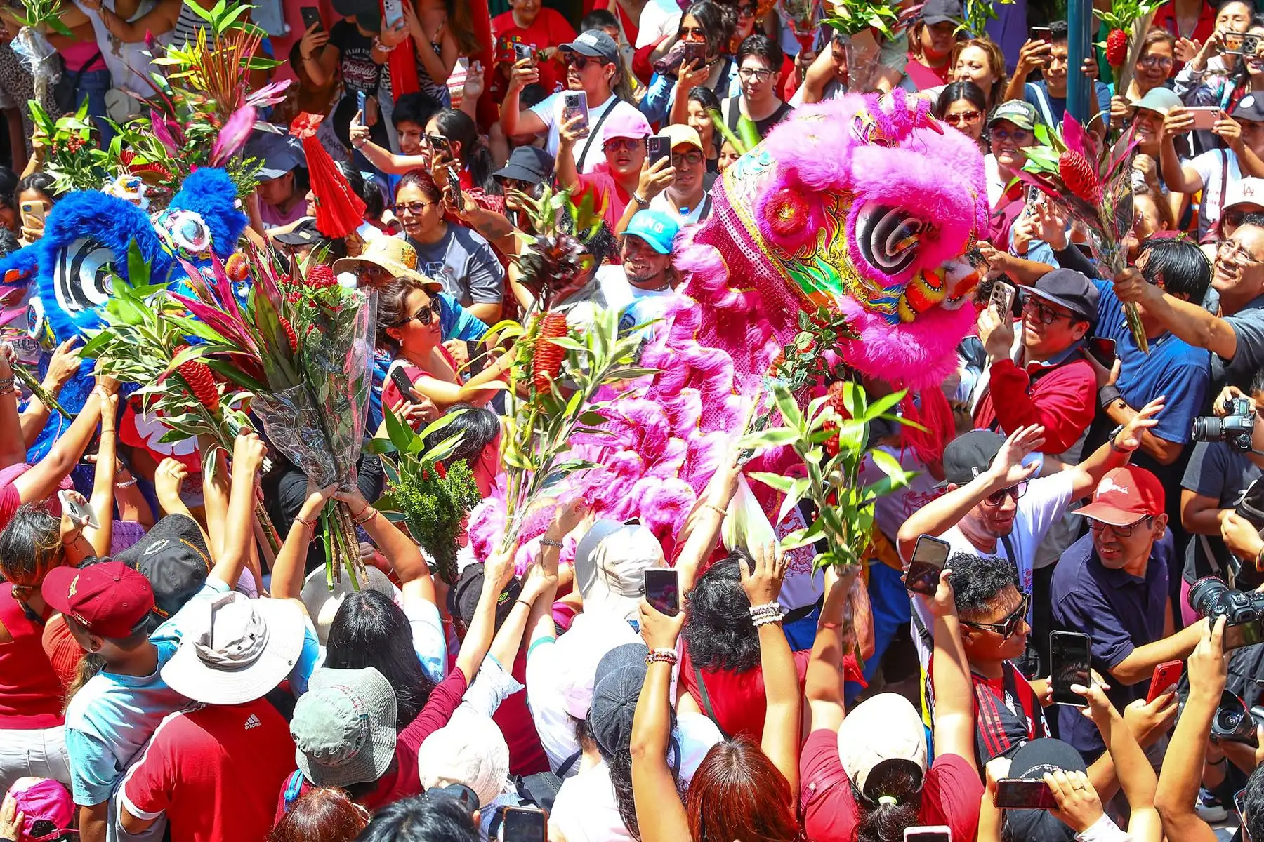 Durante el recorrido, los dragones chinos avanzan al ritmo de la música tradicional por las calles del Centro de Lima, mientras el público acompaña con aplausos y fotografías. Niños y adultos se acercan para tocar la cabeza del dragón en señal de buena fortuna y prosperidad para el año que inicia, en una de las escenas más simbólicas y emotivas de la jornada. Foto: ANDINA/ Verónica Calderón Zuñiga