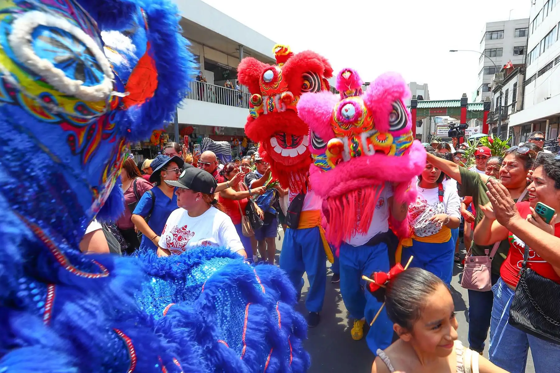 Niños tocan la cabeza del dragón como símbolo de buena suerte y prosperidad durante el inicio del Año Nuevo Lunar. Foto: ANDINA/ Verónica Calderón Zuñiga