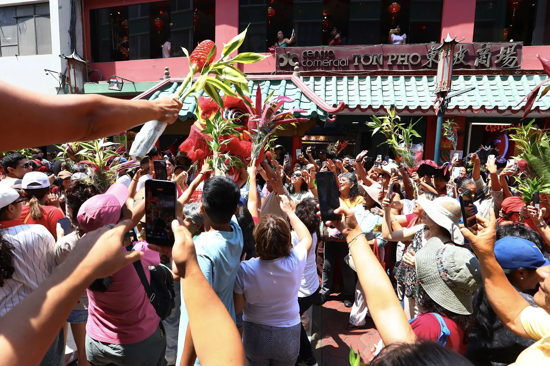Un mar de visitantes llena espacios festivos, reflejando el entusiasmo por celebrar una de las festividades más importantes de la cultura china.
17/02/2026
Foto: ANDINA/Verónica Calderón Zúñiga