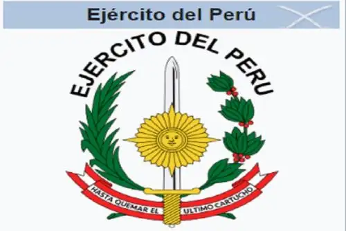 El Comando Institucional ha dispuesto que el Sistema de Inspectoría inicie las investigaciones correspondientes para determinar las circunstancias del accidente,