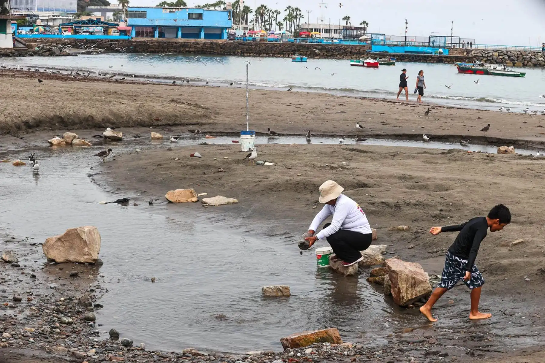 El cierre del domingo 15 se desarrolló sin incidentes, gracias a la adecuada comunicación con vecinos y veraneantes, quienes acataron la disposición sin altercados. 
Foto: ANDINA/ Juan Carlos Guzmán