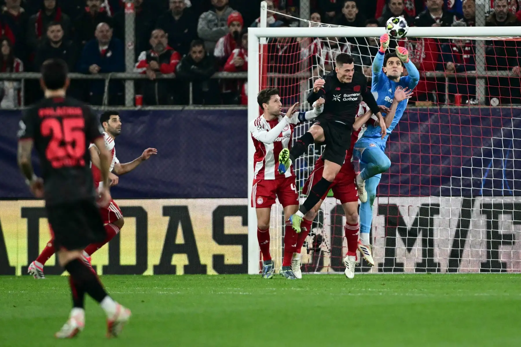 El portero griego  del Olympiakos, Kostas Tzolakis,, golpea el balón en la cabeza del delantero checo  del Bayer Leverkusen, Patrik Schick, durante el partido de ida de los playoffs de la ronda eliminatoria de la UEFA Champions League entre el Olympiacos FC y el Bayer Leverkusen  en el Estadio Karaiskakis en El Pireo, cerca de Atenas.
Foto: AFP
