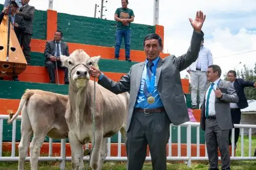 La intervención contempla la dotación de bovinos, alpacas y sistemas de riego, herramientas fundamentales para mejorar la producción láctea, optimizar los sistemas de crianza y garantizar el uso eficiente del recurso hídrico. Foto: Cortesía Pedro Tinoco