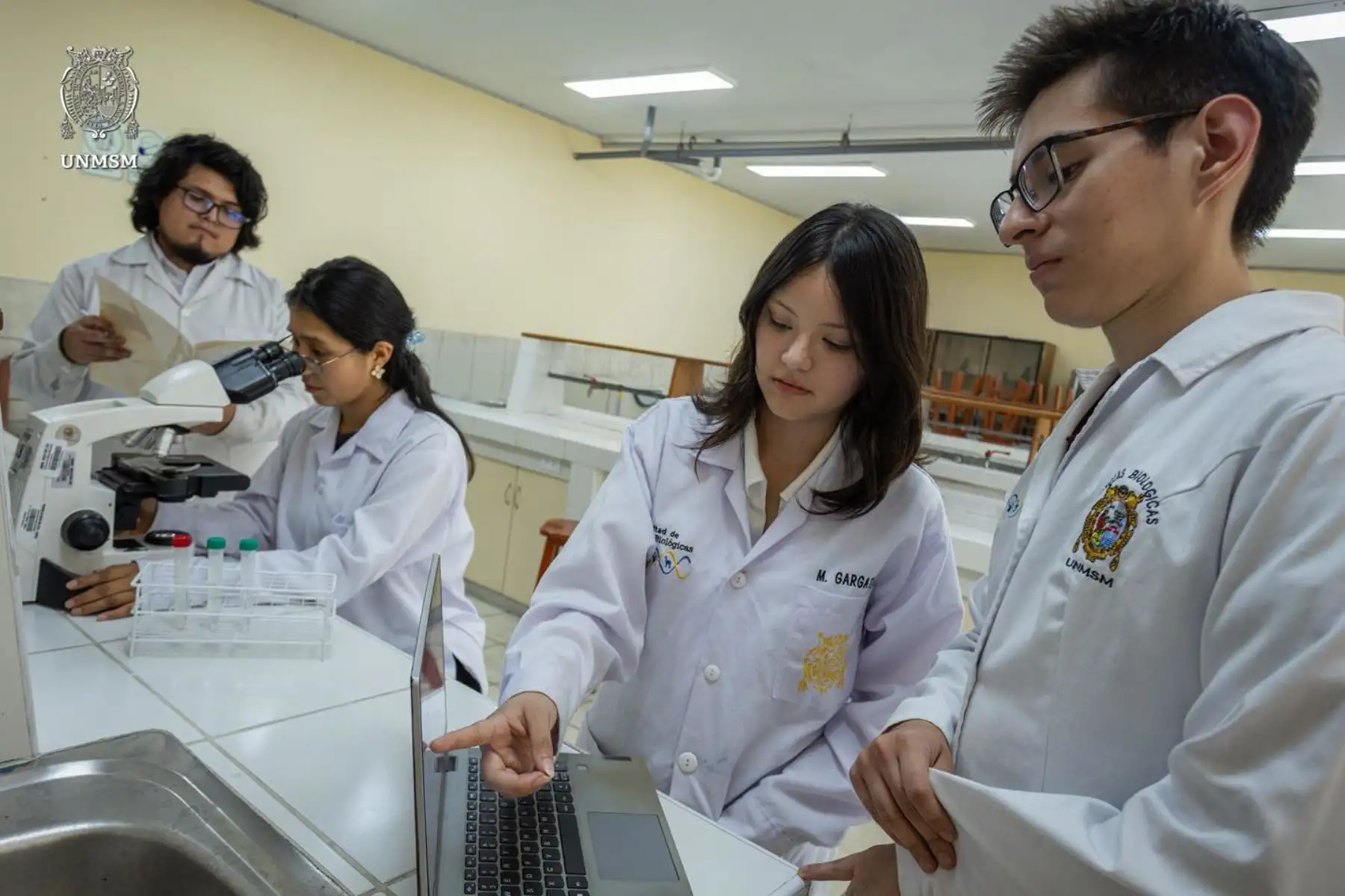 La propuesta ganadora consistió en el diseño de una bacteria genéticamente modificada capaz de expresar proteínas fijadoras de plomo. 
