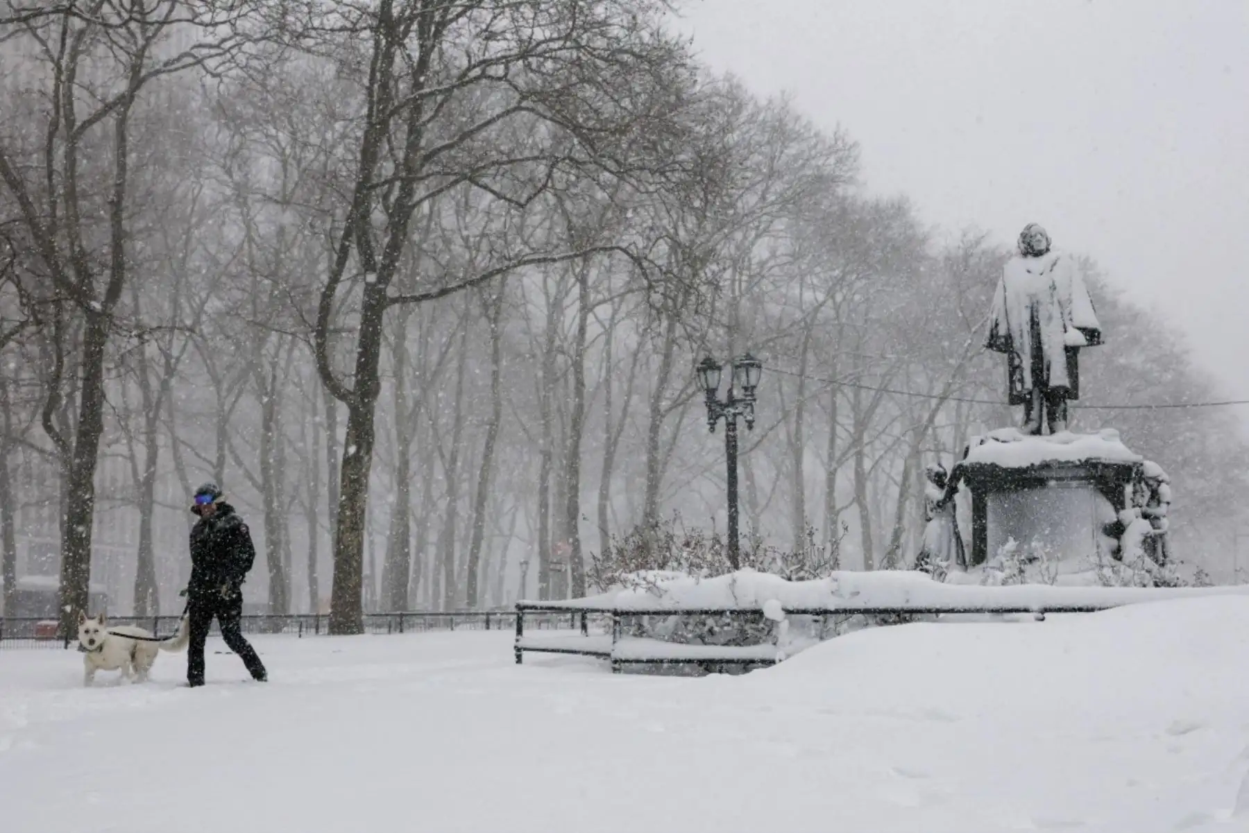 Una persona pasea a un perro por un parque cubierto de nieve en el distrito de Brooklyn de la ciudad de Nueva York el 23 de febrero de 2026. Nueva York ordenó a los conductores que se fueran de la carretera y cerraron las escuelas el lunes, mientras que los residentes se resguardaban por una tormenta de nieve masiva que golpeó el noreste de los Estados Unidos. Foto: AFP