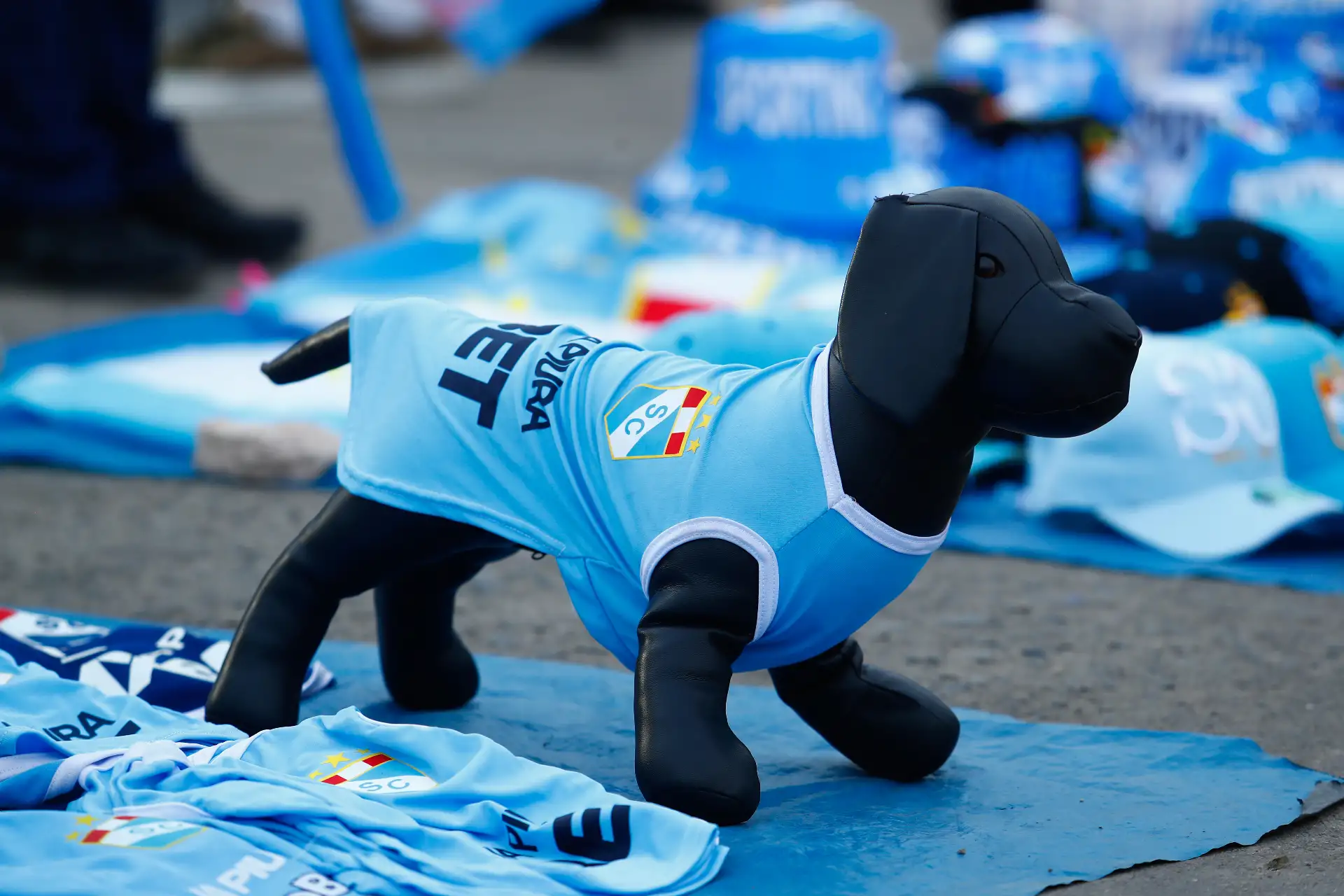 Decenas de hinchas del Sporting Cristal llegan hasta el estadio Miguel Grau del Callao el martes 24 de febrero de 2026 para apoyar a su equipo ante su partido de vuelta contra el 2 de Mayo de Paraguay, por la Fase 2 de clasificación a la Copa CONMEBOL Libertadores 2026. Foto: ANDINA/Daniel Bracamonte
