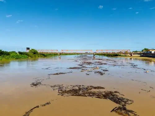 Lluvias intensas en la región Tumbes dejan 495 afectados y 18 damnificados en lo que va del año, informó el COER. ANDINA/Difusión