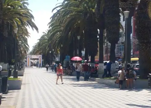 La costa de las regiones Tacna y Moquegua soportarán este jueves 26 y viernes 27 de febrero temperaturas altas consideradas extremas por el Senamhi. Este organismo advirtió que se alcanzarán valores de hasta 35 °C. ANDINA/Difusión