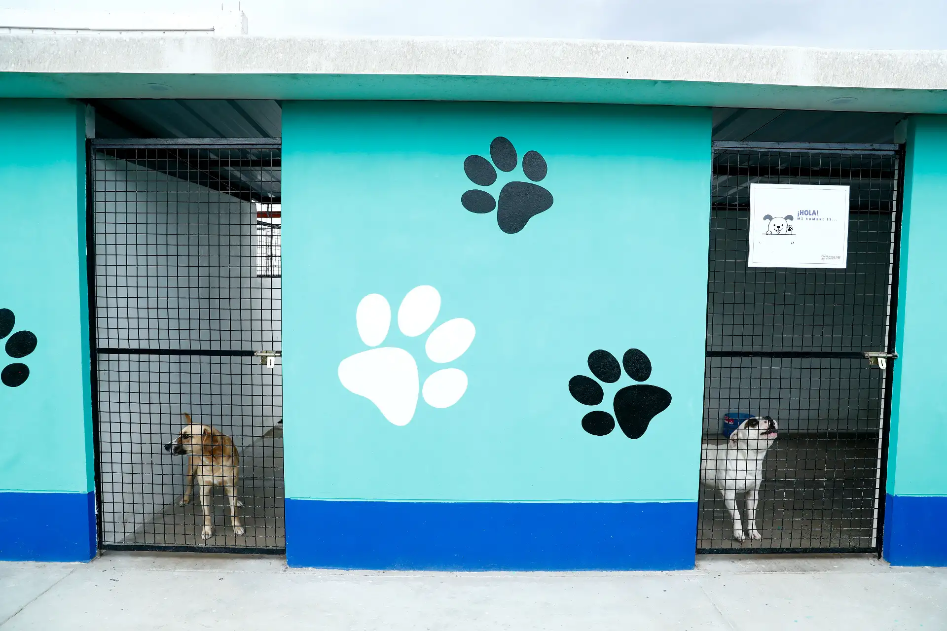 Desde el Albergue Municipal de Mascotas de Santiago de Surco, se realizó un homenaje póstumo al suboficial PNP Patrick Ospina, quien falleció el pasado 20 de febrero intentando rescatar a un perro en el río Rímac. Foto: ANDINA/Daniel Bracamonte