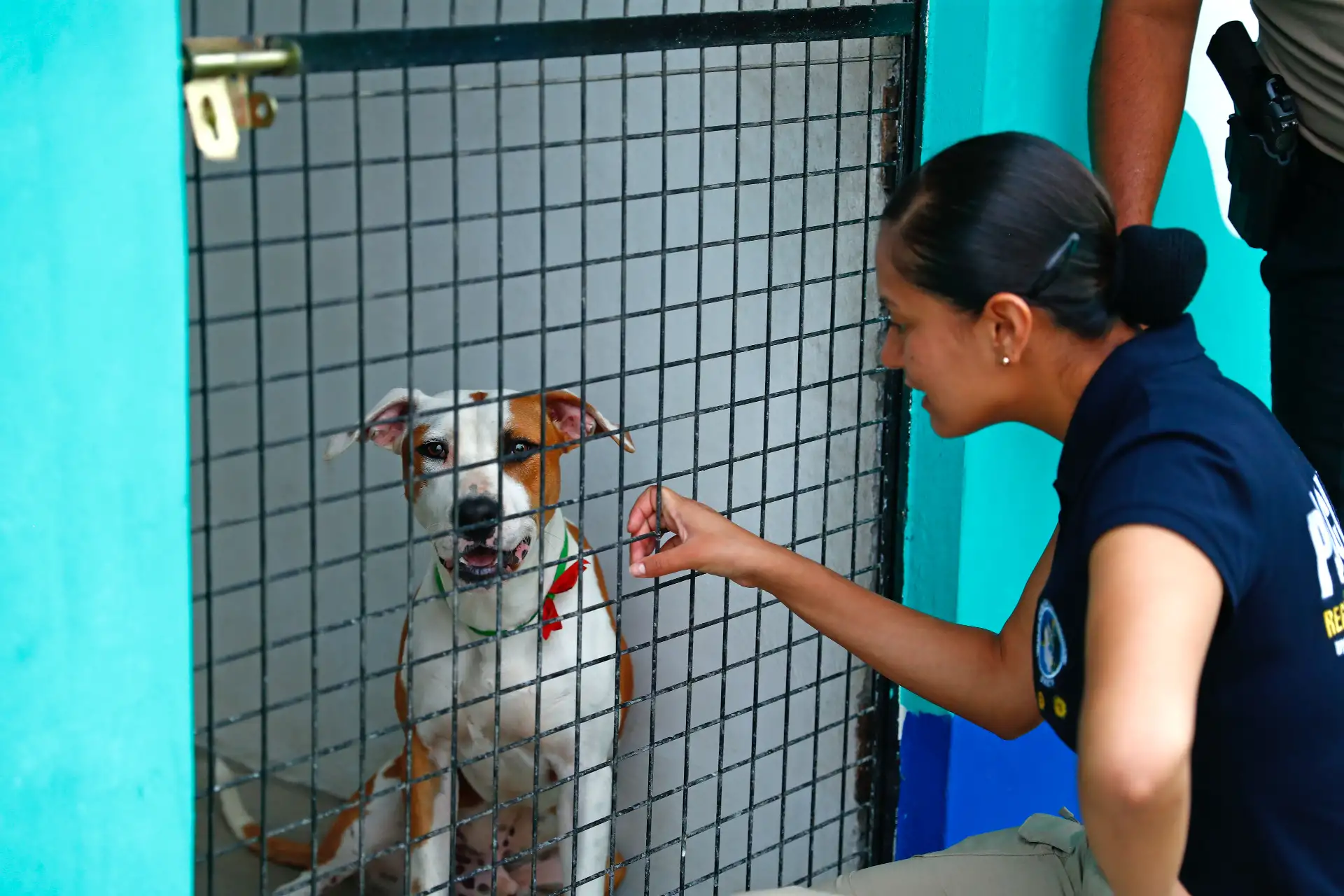 Desde el Albergue Municipal de Mascotas de Santiago de Surco, se realizó un homenaje póstumo al suboficial PNP Patrick Ospina, quien falleció el pasado 20 de febrero intentando rescatar a un perro en el río Rímac. Foto: ANDINA/Daniel Bracamonte
