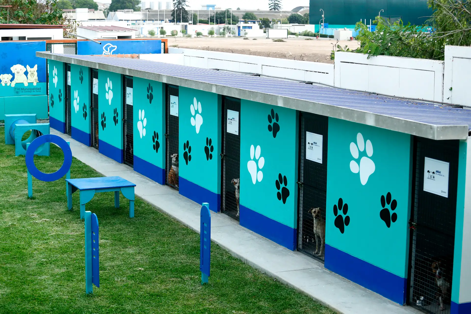 Desde el Albergue Municipal de Mascotas de Santiago de Surco, se realizó un homenaje póstumo al suboficial PNP Patrick Ospina, quien falleció el pasado 20 de febrero intentando rescatar a un perro en el río Rímac. Foto: ANDINA/Daniel Bracamonte