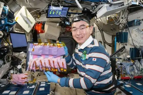 BioNutrients-3 forma parte de una serie de investigaciones que evalúan cómo generar compuestos nutricionales esenciales durante vuelos prolongados.