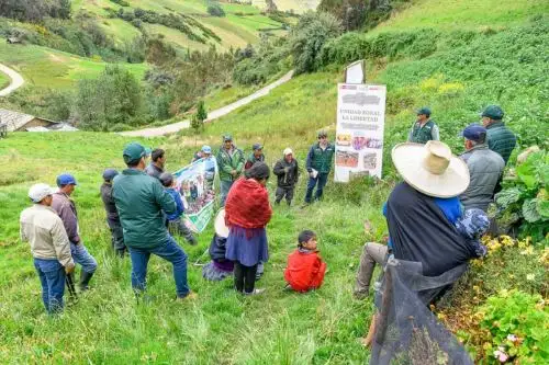 El Ministerio de Desarrollo Agrario y Riego (Midagri), a través de Agro Rural, fortaleció la productividad y competitividad de cerca de 2,500 pequeños productores de papa de las regiones de Amazonas, Cajamarca y La Libertad. ANDINA / Difusión.