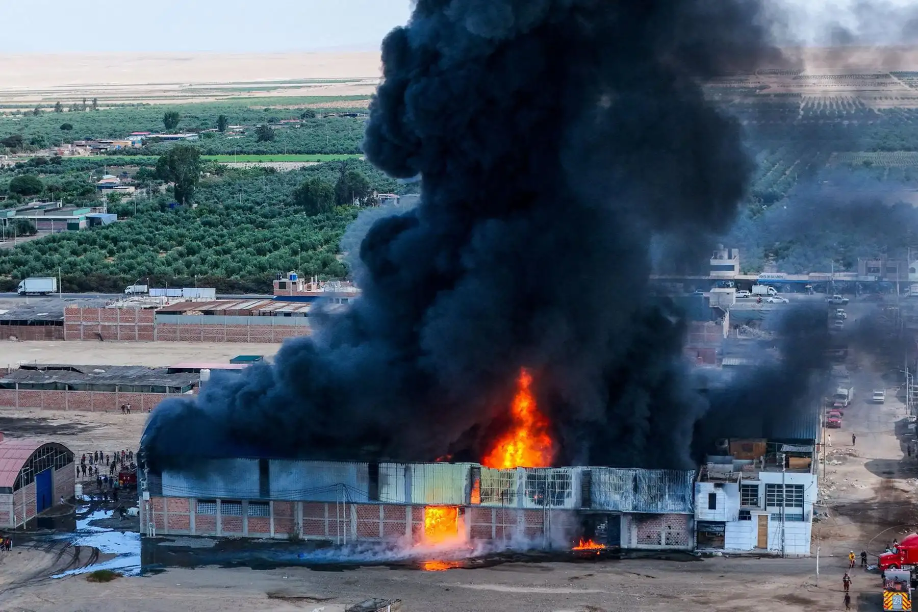 De acuerdo con el reporte preliminar, el incendio dejó únicamente daños materiales y no se registraron víctimas. En la zona permanece el subgerente de Gestión de Riesgos y Desastres, junto a su equipo técnico, supervisando las labores. Foto: Municipalidad Provincial de Tacna