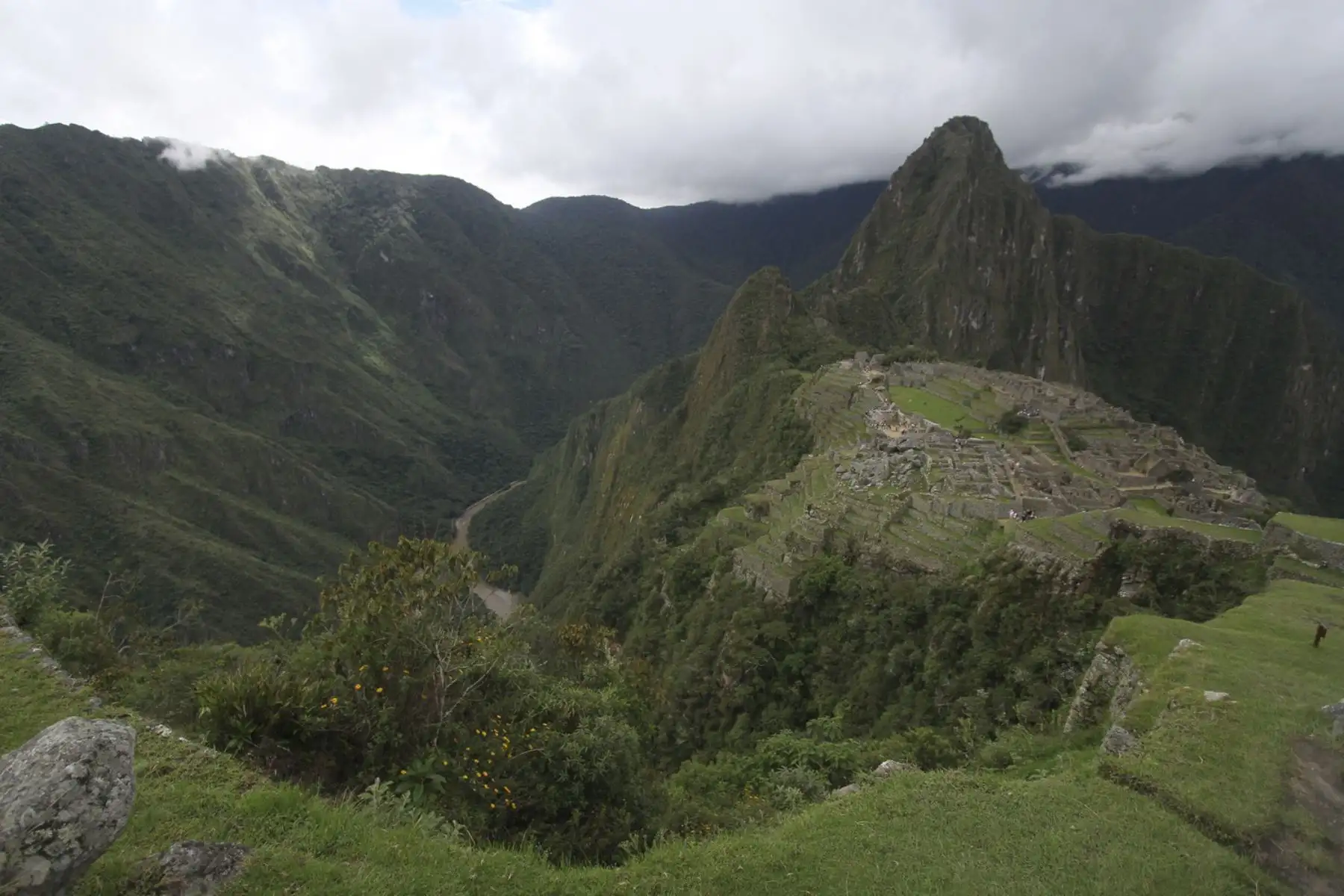 Los especialistas analizan la presencia de nichos trapezoidales que, según su hipótesis, habrían albergado momias o mallquis vinculados a contextos ritual-funerarios. Foto: Difusión/Arturo Rodríguez