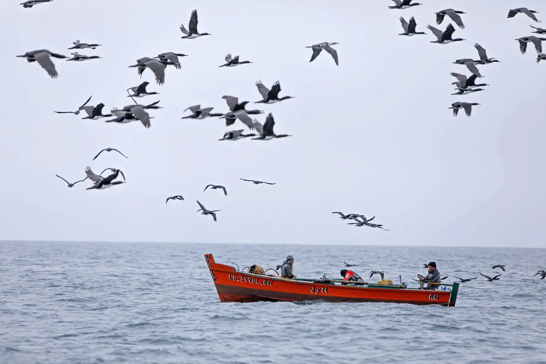 Gobierno busca modernizar y fortalecer atención a pescadores artesanales de todo el país
