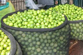 Abastecimiento de alimentos en mercados mayoristas de Lima aumentó en comparación con los lunes de semanas anteriores. Foto: ANDINA/Difusión