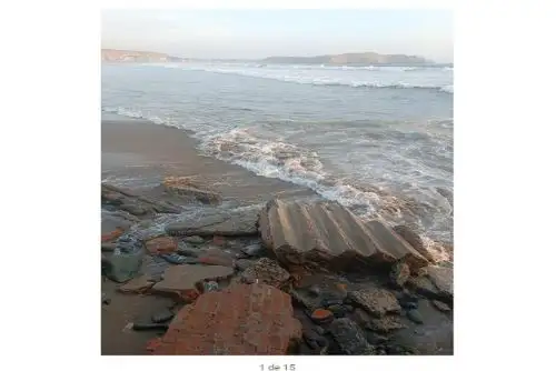 El temor de los comercios de la zona es que el fenómeno continúe en los siguientes días y provoque la inasistencia de los bañistas y comensales,.