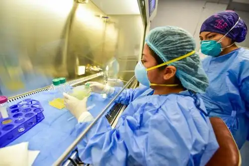 INSN San Borja recibe donación de piel humana para niños con quemaduras graves. Foto: ANDINA/Difusión.