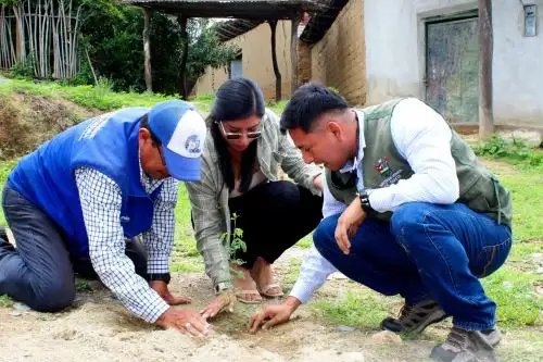 Gore Piura desarrolló la jornada ‘Reforestación: estrategias y beneficios ambientales para un futuro sostenible’. Foto: ANDINA/Difusión.