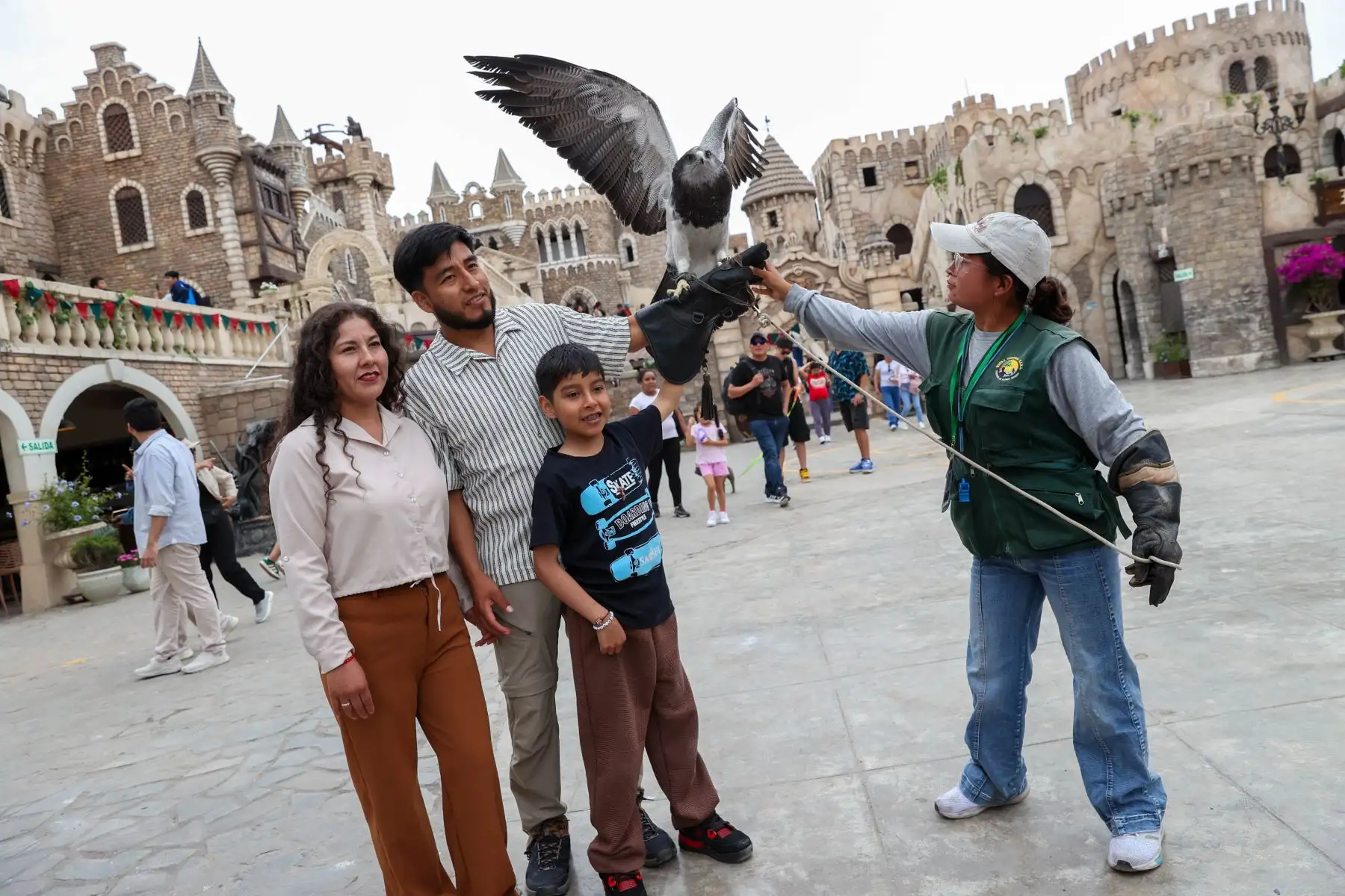 En el Castillo de Chancay, los visitantes pueden gozar de un show especial de aves rapaces donde se pueden tomar fotos y videos interactuando con las aves.

Foto:ANDINA / Juan Carlos Guzmán Negrini