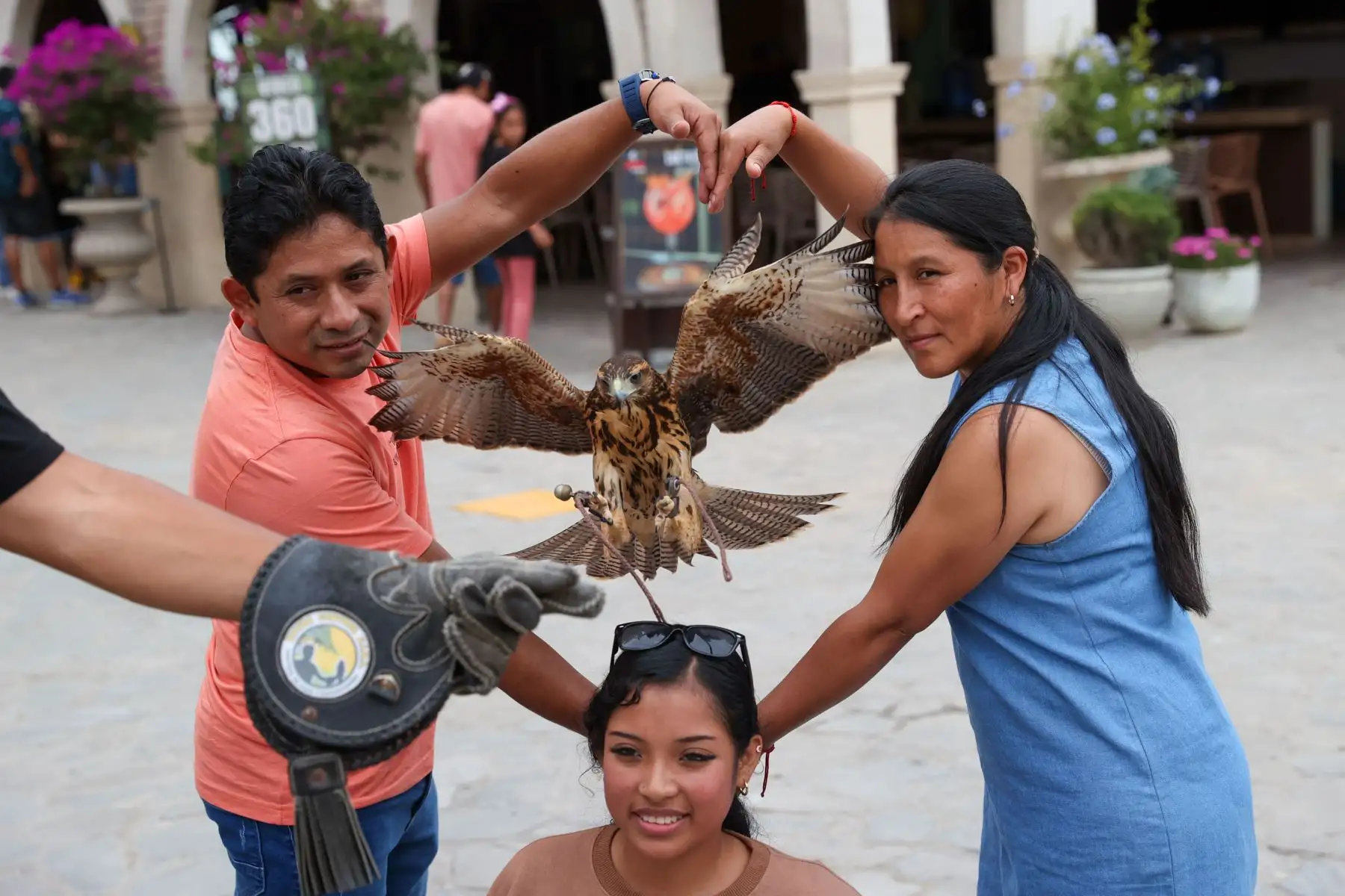 En el Castillo de Chancay, los visitantes pueden gozar de un show especial de aves rapaces donde se pueden tomar fotos y videos interactuando con las aves.

Foto:ANDINA / Juan Carlos Guzmán Negrini