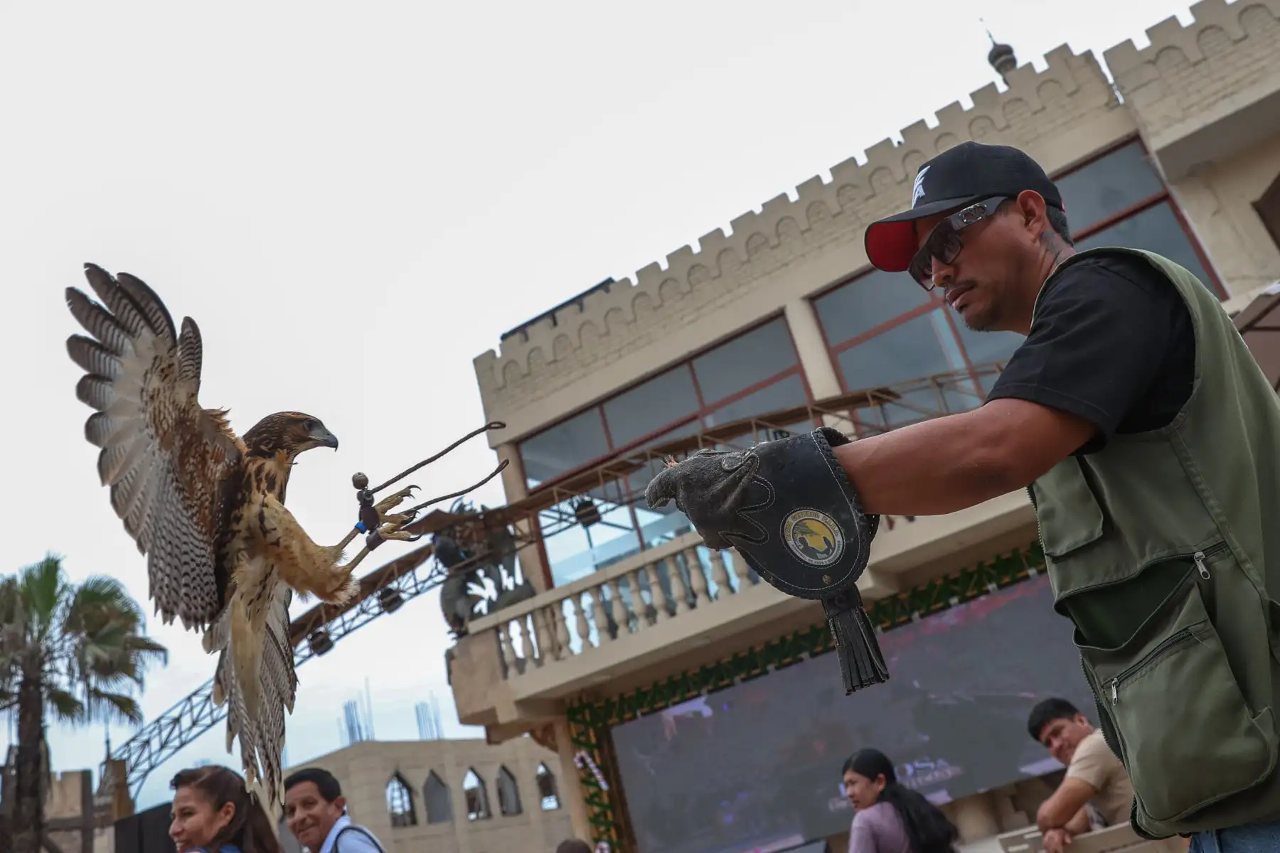 En el Castillo de Chancay, los visitantes pueden gozar de un show especial de aves rapaces donde se pueden tomar fotos y videos interactuando con las aves.

Foto:ANDINA / Juan Carlos Guzmán Negrini