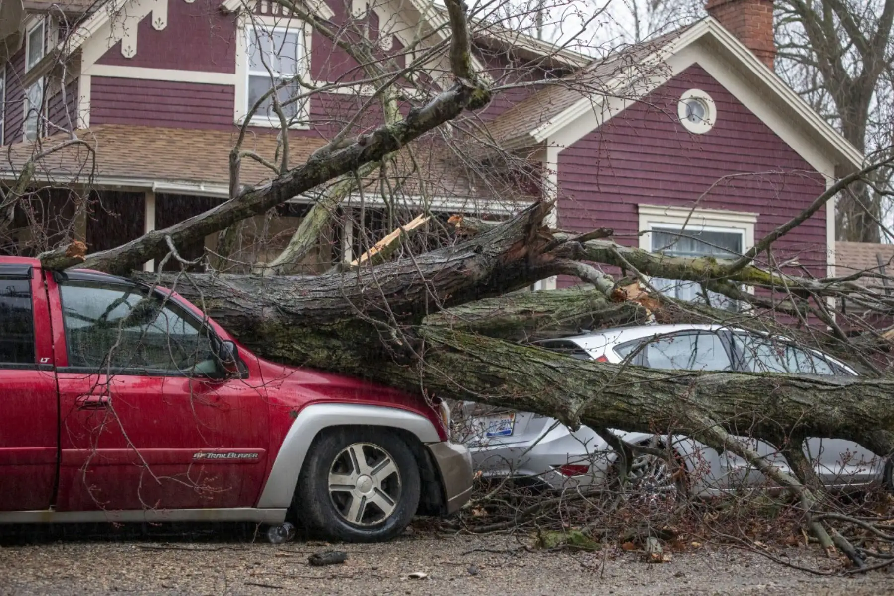 Vehículos aplastados por la caída de un árbol arrancado por un tornado que golpeó varias ciudades del suroeste rural de Michigan el 7 de marzo de 2026, en Union City, Michigan. Varias personas murieron y alrededor de una docena más resultaron heridas por la tormenta en Union City. Foto: AFP